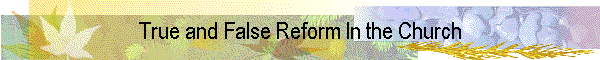True and False Reform In the Church