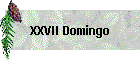 XXVII Domingo