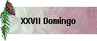 XXVII Domingo